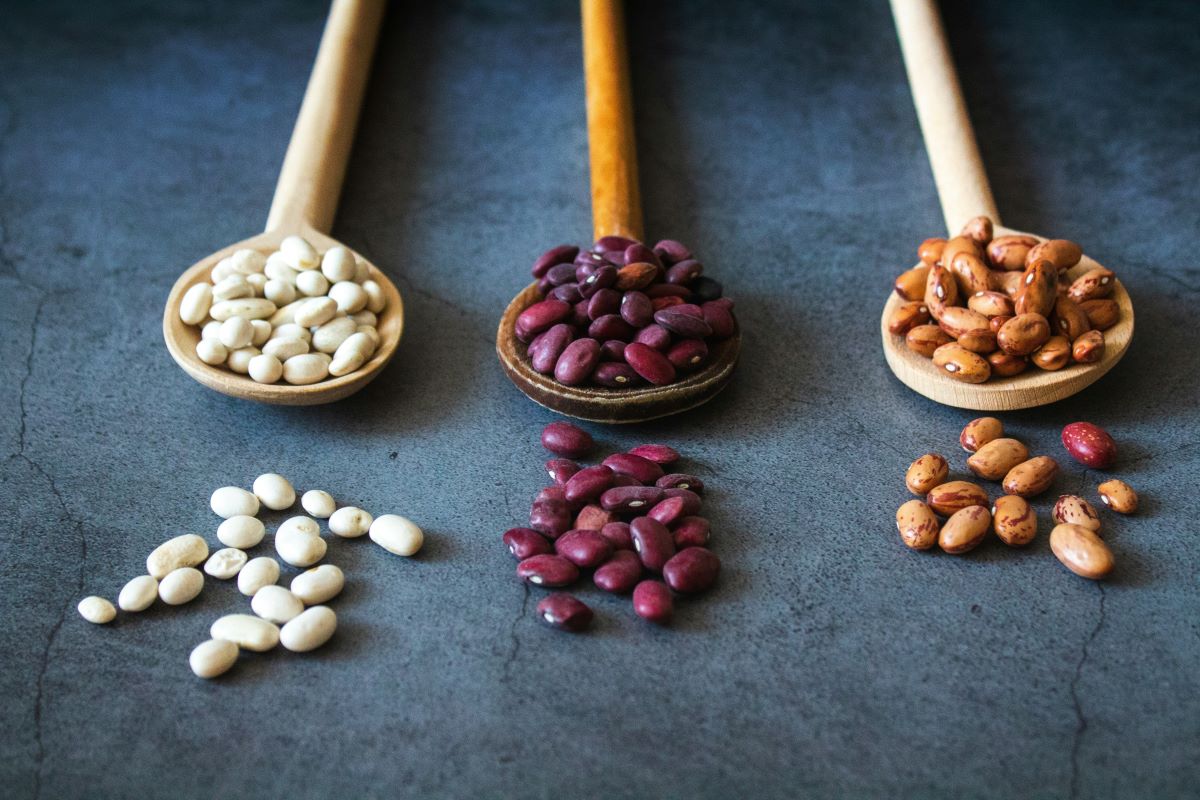 Aneeq | How Blue Zone diets fuel a longer, healthier life