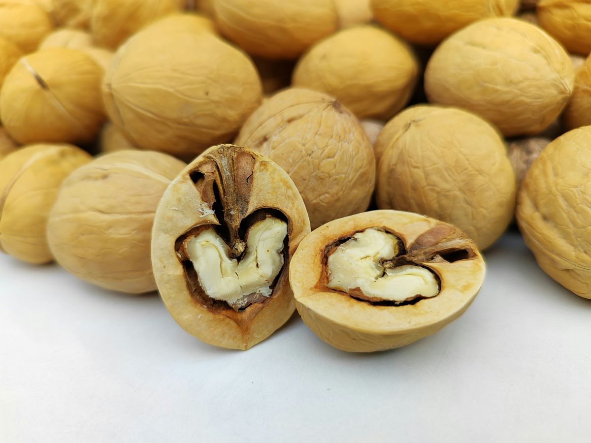 Aneeq | Eat for fertility: Foods that increase sperm count